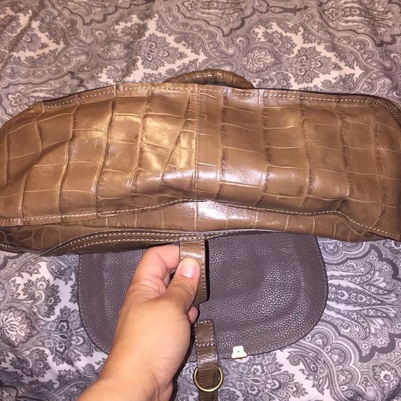 Chloe - Picture 7 of 8